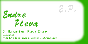 endre pleva business card